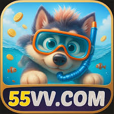 55vv.COM